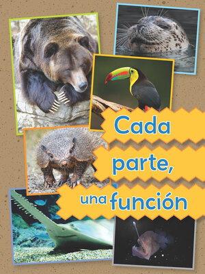 cover image of Cada parte, una función
